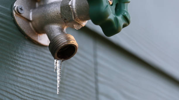 Best Best Plumbers Near Me  in Newton, TX